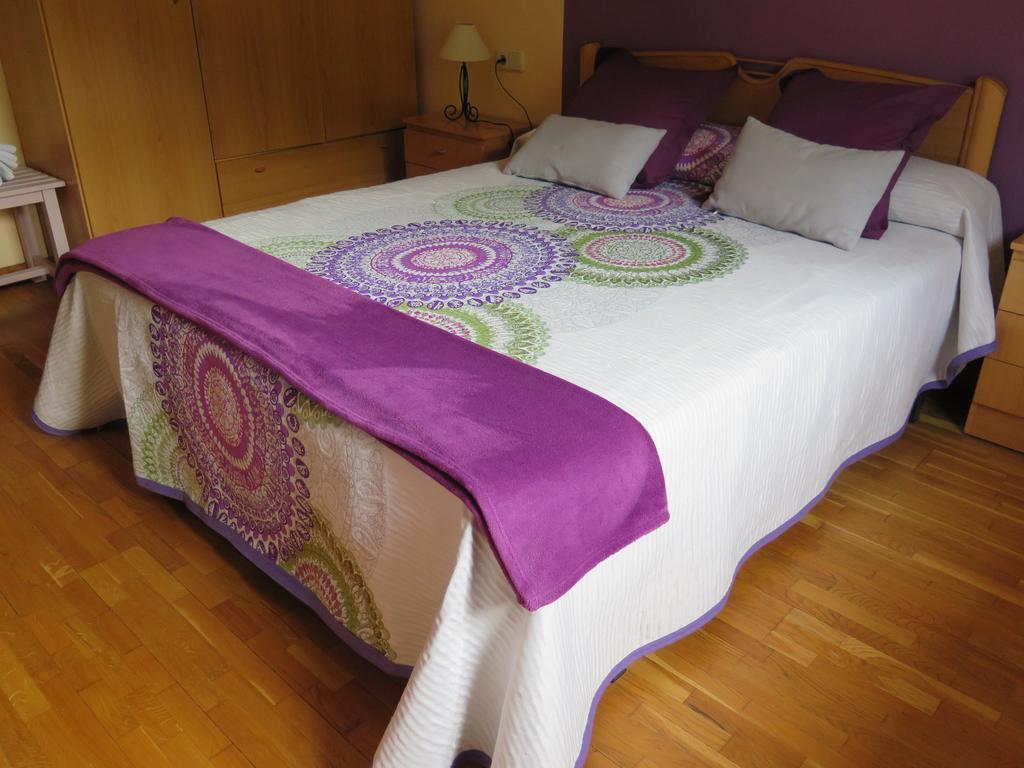 Apartaments El Ribal Valencia D'Aneu Buitenkant foto